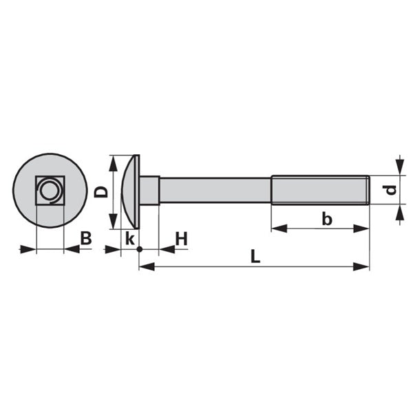 Flachrundschraube zu Frost M10 x 40 mm mit Vierkantansatz ohne Mutter – Schrauben Ersatzteil