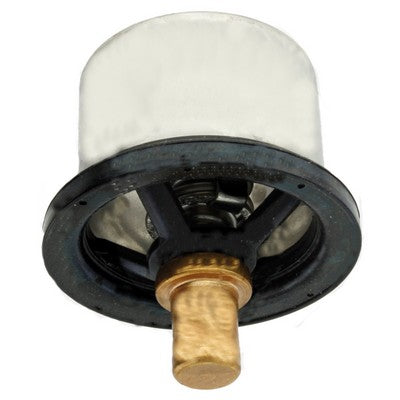 Thermostat RE554015, RE540379 zu John Deere – Thermostate Ersatzteil