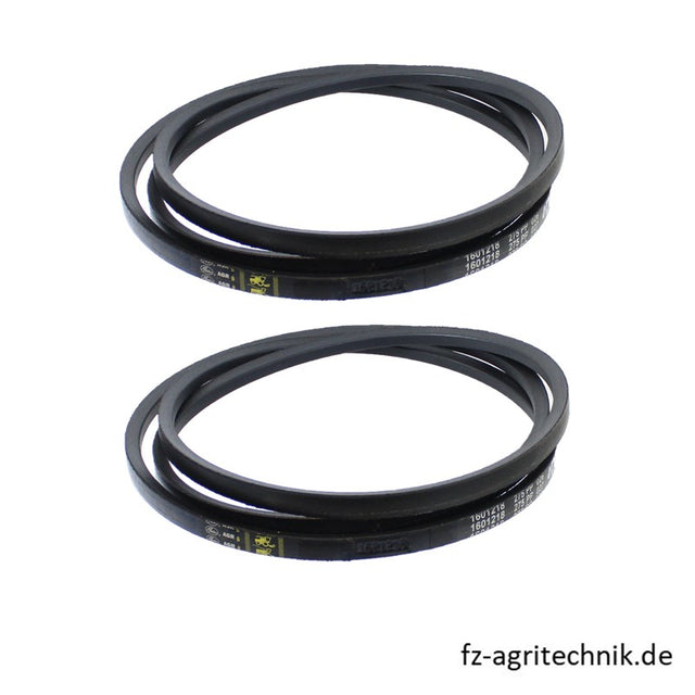 Keilriemensatz 2 Stück 17x2835 mm - 06256619 zu Deutz-Fahr Mähdrescher