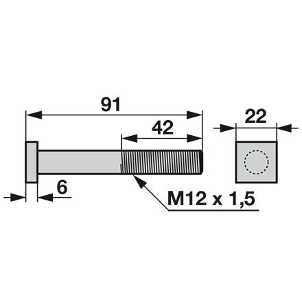 Rasspe Vierkantschraube M12 x 85 RS163 – Schrauben Ersatzteil