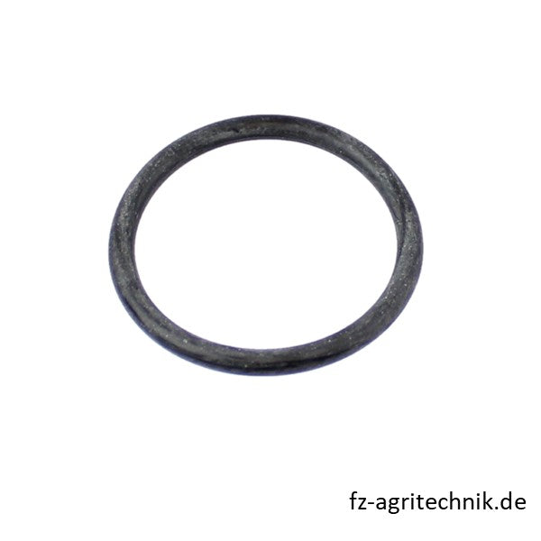 Runddichtring 01166042 zu Deutz – Landtechnik Ersatzteil