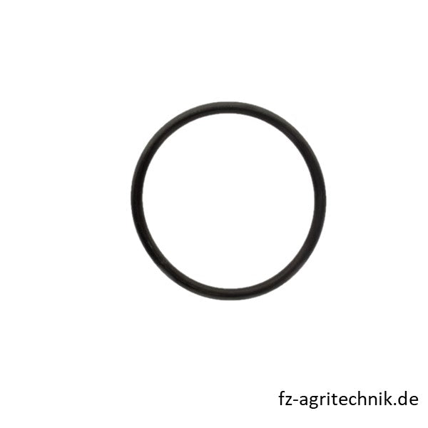 Runddichtring 01166059 zu Deutz – Landtechnik Ersatzteil
