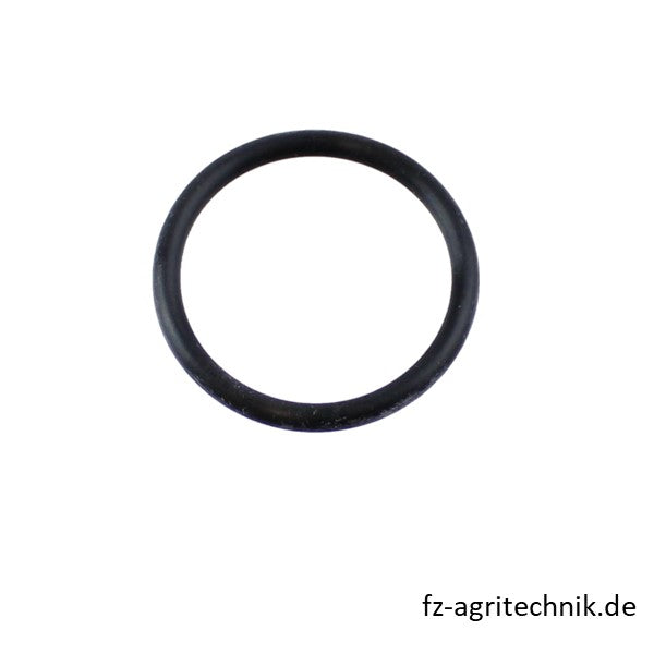 Runddichtring 04201462 zu Deutz – Deutz Ersatzteile Ersatzteil