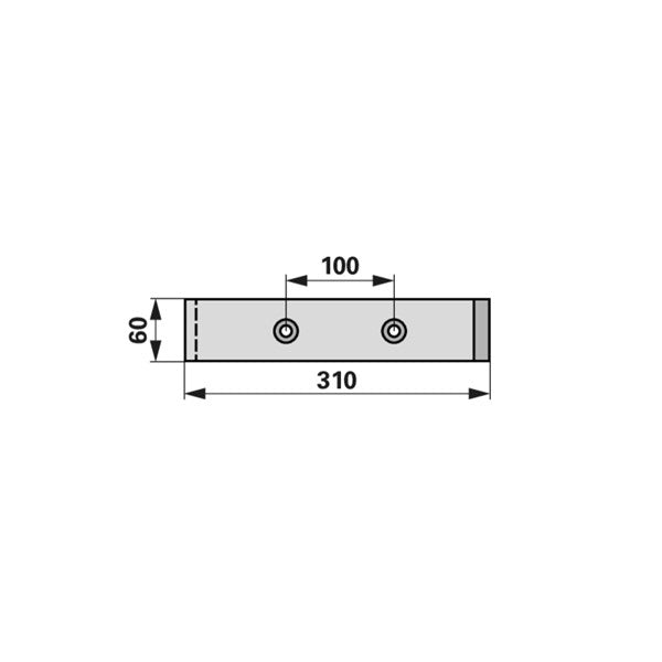 Schar 310 x 60 mm zu Eder – Schare Ersatzteil