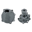 Wasserpumpe 6005025575 mit Dichtung zu Renault – Wasserpumpen Ersatzteil