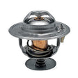 Thermostat 218039A1 zu Case IH – Thermostate Ersatzteil