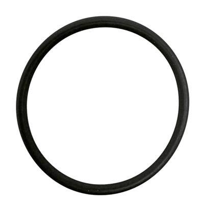 Dichtring 3131661R1 für Case IH – Landtechnik Ersatzteil