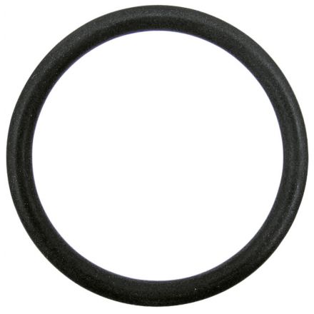 Dichtring 195565M1 zu Massey Ferguson – Dichtringe Ersatzteil