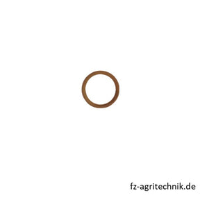 Dichtscheibe 02138224 zu Deutz – Landtechnik Ersatzteil