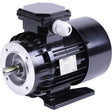 Elektromotor 380 Volt zu Milchpumpe FMP 55 zu DeLaval – Motor Ersatzteil