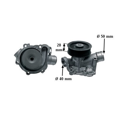 Wasserpumpe F716200610010 mit Dichtung zu Fendt – Dichtungen Ersatzteil