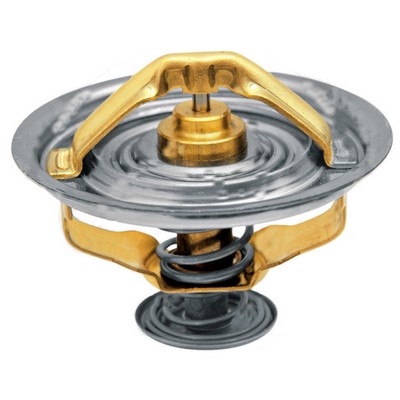 Thermostat F199204050010 zu Fendt – Thermostate Ersatzteil