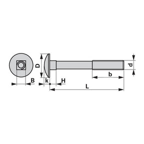 Flachrundschraube zu Kuhn M10 x 40 mm mit Mutter und Vierkantansatz – Deutz Schrauben Ersatzteil