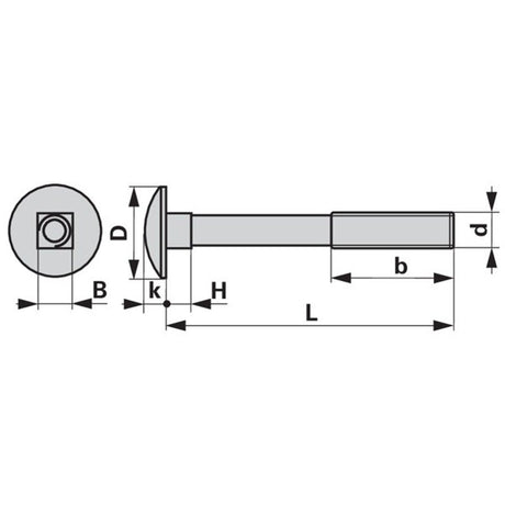 Flachrundschraube zu Landsberg-Pöttinger M12 x 50 mm mit Mutter und Vierkantansatz – Schraubensatz Ersatzteil