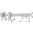 Flachrundschraube zu Lely M10 x 40 mm mit Vierkantansatz ohne Mutter – Schrauben Ersatzteil