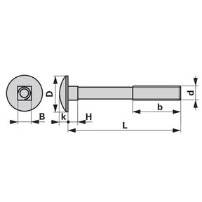 Flachrundschraube zu Frost M10 x 40 mm mit Vierkantansatz ohne Mutter – Schrauben Ersatzteil