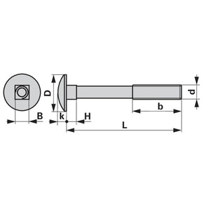 Flachrundschraube zu Rabe M12 x 50 mm mit Vierkantansatz ohne Mutter – Schrauben Ersatzteil