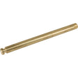Hubstange 6 Zoll, L 255 mm, M20 x 2 mm MZ - Variante 2 – Ersatzteile für Gülletechnik Ersatzteil