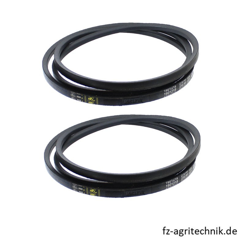 Keilriemensatz 2 Stück 17x2835 mm - 06256619 zu Deutz-Fahr Mähdrescher