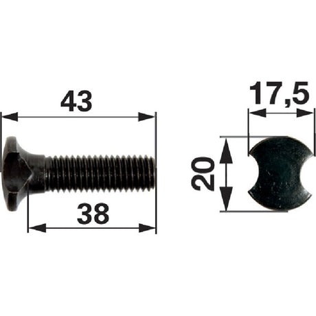 Kettenschraube M10 x 43 mm – Landtechnik Ersatzteil
