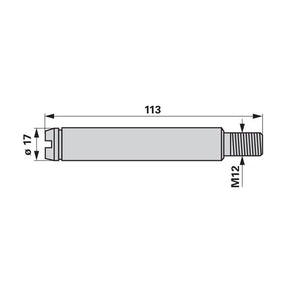 Lagerbolzen für Kreiselheuer, AD 70 x L 113 mm anstelle von Deutz-Fahr 06581596 – Deutz Ersatzteile Ersatzteil
