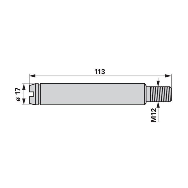 Lagerbolzen für Kreiselheuer, AD 70 x L 113 mm anstelle von Deutz-Fahr 06581596 – Deutz Ersatzteile Ersatzteil