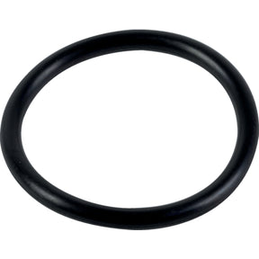 O-Ring 241441 zu Hardi – Dichtungen Ersatzteil