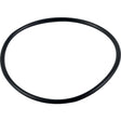 O-Ring 242092 zu Hardi – Dichtungen Ersatzteil