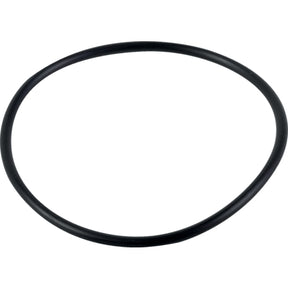 O-Ring 242092 zu Hardi – Dichtungen Ersatzteil