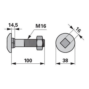 Pflugkörperschraube - mit Vierkantansatz und Mutter - M16 x 100 mm – Pflug Ersatzteil