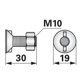 Pflugschraube - DIN 11014 mit 2 - Nasen und Mutter - M10 x 30 mm – Pflug Ersatzteil