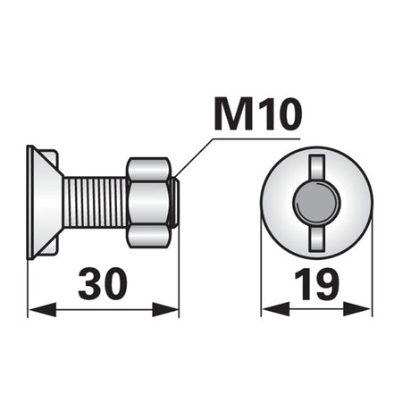 Pflugschraube - DIN 11014 mit 2 - Nasen und Mutter - M10 x 30 mm – Pflug Ersatzteil