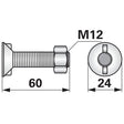 Pflugschraube - DIN 11014 mit 2 - Nasen und Mutter - M12 x 60 mm – Pflug Ersatzteil