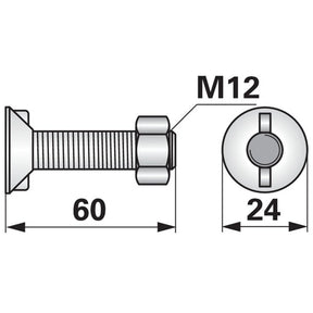 Pflugschraube - DIN 11014 mit 2 - Nasen und Mutter - M12 x 60 mm – Pflug Ersatzteil