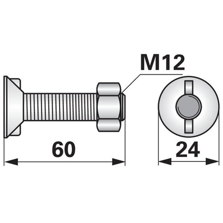 Pflugschraube - DIN 11014 mit 2 - Nasen und Mutter - M12 x 60 mm – Pflug Ersatzteil