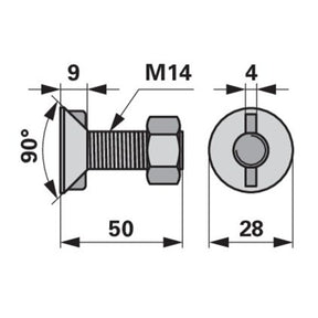 Pflugschraube - DIN 11014 mit 2 - Nasen und Mutter - M14 x 50 mm – Pflug Ersatzteil