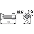 Pflugschraube - DIN 608 mit Vierkantansatz und Mutter - M10 x 50 mm – Landtechnik Ersatzteil