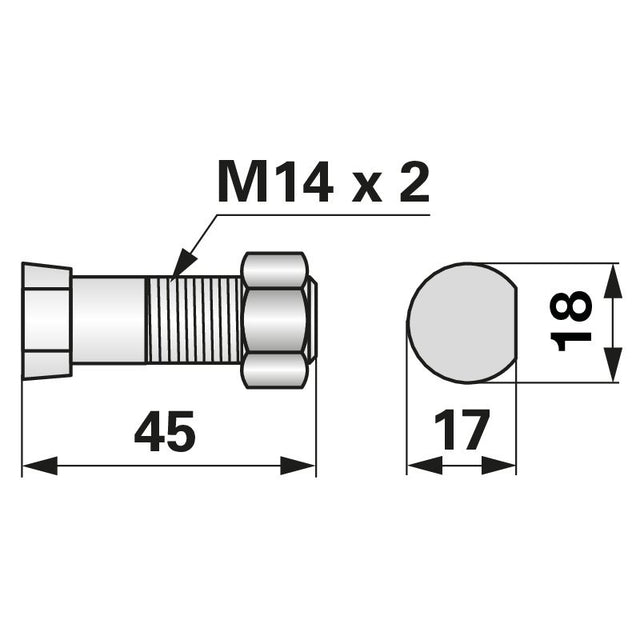Pflugschraube - Halber Ovalkopf - M14 x 45 mm mit Mutter