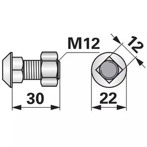 Pflugschraube Vierkant - M12x30 mm - mit Mutter - 10 Stück – Schrauben Ersatzteil