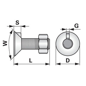 Pflugschraube - DIN 604 mit 1 - Nase und Mutter - M16 x 60 mm – Pflug Ersatzteil