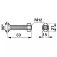 Planetenschraube Vierkant - M12x60 mm - mit Mutter - 10 Stück – Schrauben Ersatzteil