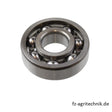 Rillenkugellager CM25 offen 20 x 52 x 15 mm zu Battioni Pagani – Landtechnik Ersatzteil