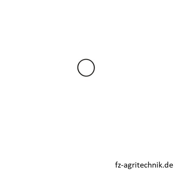 Runddichtring 01160044 zu Deutz – Runddichtringe Ersatzteil