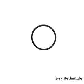 Runddichtring 01161368 zu Deutz – Runddichtringe Ersatzteil