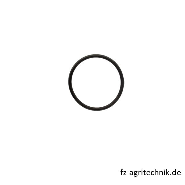 Runddichtring 01161368 zu Deutz – Runddichtringe Ersatzteil