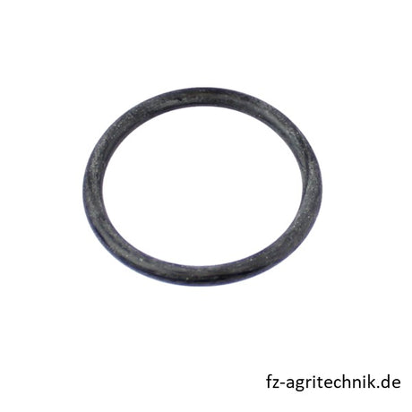 Runddichtring 01166042 zu Deutz – Landtechnik Ersatzteil