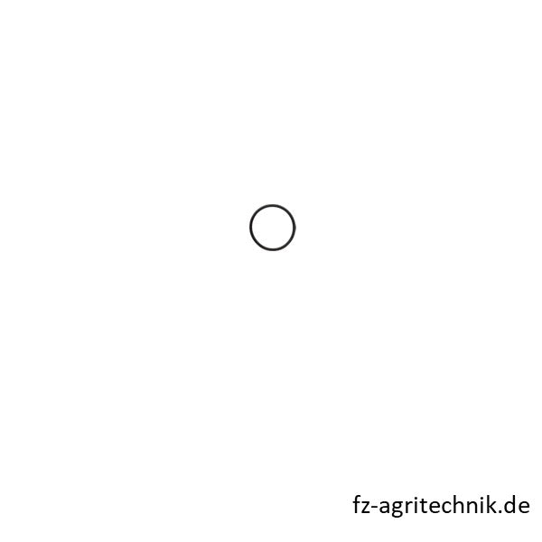 Runddichtring 01170198 zu Deutz – Landtechnik Ersatzteil