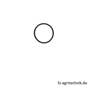 Runddichtrig 01173119 zu Deutz – Landtechnik Ersatzteil
