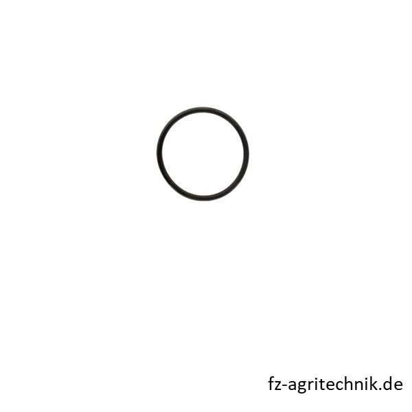 Runddichtrig 01173119 zu Deutz – Landtechnik Ersatzteil