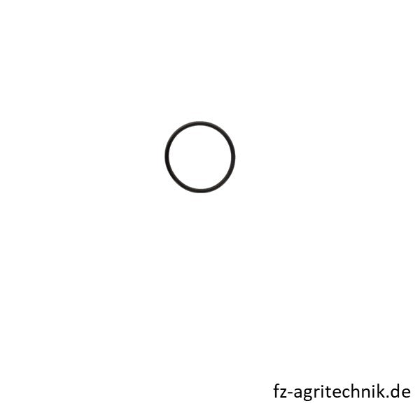 Runddichtrig 01173127  zu Deutz – Landtechnik Ersatzteil